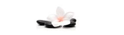 Logo The Blossom Skin care
